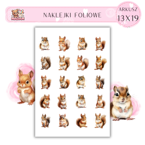 Naklejki Foliowe Wiewiórka 13x19, MaDam