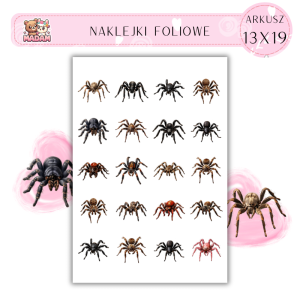 Naklejki Foliowe Pająk 13x19, MaDam