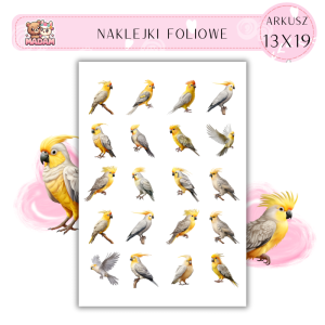Naklejki Foliowe Papuga 13x19, MaDam