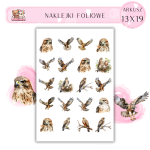 Naklejki Foliowe Sokół 13x19, MaDam