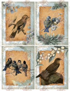 Karty do Journalingu 12 sztuk 160g Ptaki Vintage, MaDam