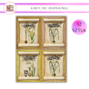 Karty do Journalingu 12 sztuk 160g Rośliny Vintage, MaDam