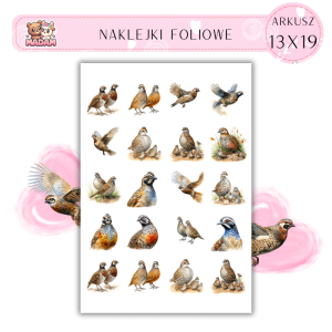 Naklejki Foliowe Przepiórka 13x19, MaDam