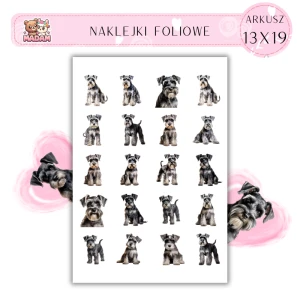 Naklejki Foliowe Pies Sznaucer 13x19, MaDam