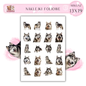 Naklejki Foliowe Pies Husky 13x19, MaDam