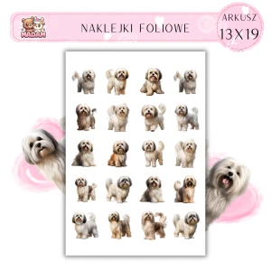 Naklejki Foliowe Pies Shih Tzu 13x19, MaDam
