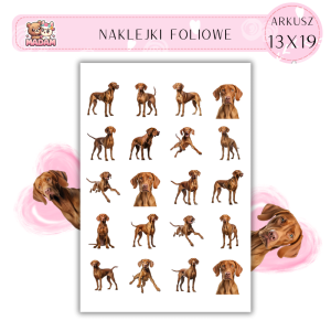 Naklejki Foliowe Pies 13x19, MaDam