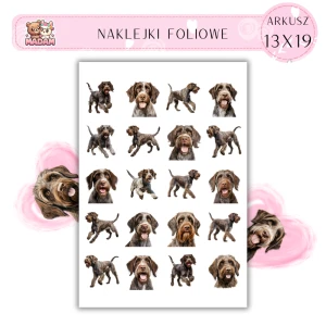 Naklejki Foliowe Pies Wyżeł 13x19, MaDam