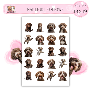 Naklejki Foliowe Pies 13x19, MaDam