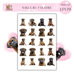 Naklejki Foliowe Pies Wyżeł 13x19, MaDam