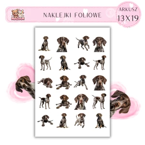 Naklejki Foliowe Pies Wyżeł 13x19, Madam