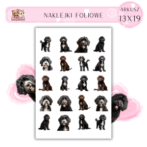 Naklejki Foliowe Pies 13x19, Madam