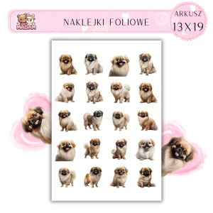 Naklejki Foliowe Pies Pekińczyk 13x19, Madam