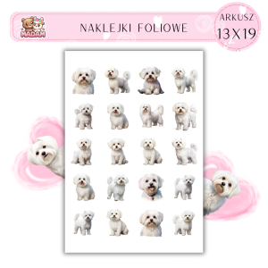 Naklejki Foliowe Pies 13x19, Madam