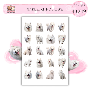 Naklejki Foliowe Pies 13x19, Madam