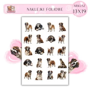 Naklejki Foliowe Pies Bernardyn 13x19, Madam
