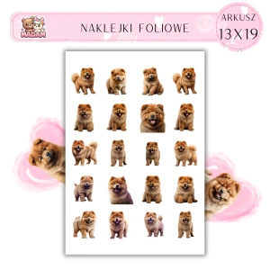 Naklejki Foliowe Pies Chow Chow 13x19, Madam