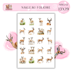 Naklejki Foliowe Antylopy 13x19, Madam