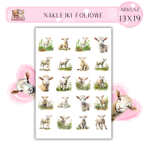 Naklejki Foliowe Owca 13x19, Madam