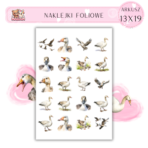 Naklejki Foliowe Gęsi 13x19, Madam