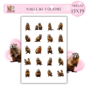 Naklejki Foliowe Świstak Kapibara 13x19, Madam