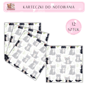 Karteczki do notowania 75x75 mm 12 sztuk, MaDam