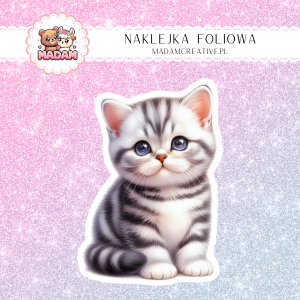 Naklejka foliowa pojedyncza, MaDam- Kot Tobi