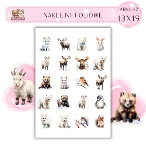 Naklejki Foliowe 13x19, Madam zima: Zwierzęta polarne i zimowe krajobrazy – uroki śnieżnych regionów!