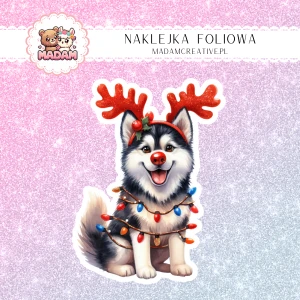 Naklejka foliowa pojedyncza, MaDam Święta: Husky Leo – Świąteczny biegacz w lampkach!