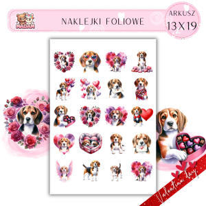 Naklejki Foliowe 13x19 Pies Walentynki Beagle – Miłość, która podąża za nosem! Madam