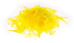 Piórka Żółte op. 7 g. P7-3, Brewis