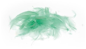 Piórka jasnozielone op. 7 g. P7-17, Brewis