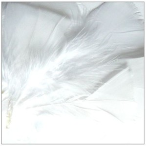 Piórka białe, D-A-S