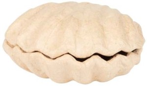 Pudełko w kształcie muszli 12 x 12 x 5 cm BT078 C, Decopatch