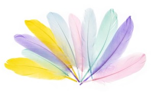 Piórka gęsie Pastelowy mix PI 1, Brewis