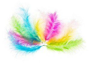 Piórka indycze 10-15cm mix pastelowe PI2, Brewis