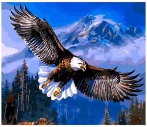 Mozaika diamentowa 30x40cm Orzeł, Craft Fun