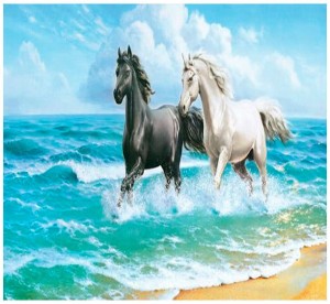 Mozaika diamentowa 30x40cm Konie 2, Craft Fun