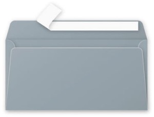 Koperty DL 110x220 srebrny POLLEN 50075 20szt.