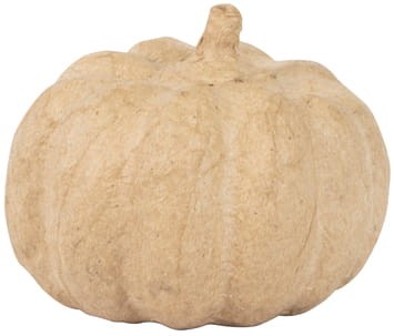 270698