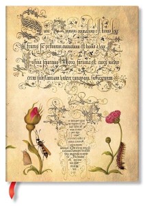 Notes Mira Botanica Flemish Rose Ultra w linie, Paperblanks