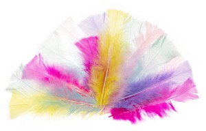 Piórka indycze ścięte 10-15cm pastel PI7, Brewis