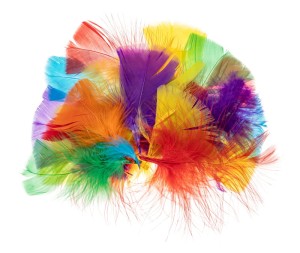 Piórka indycze trójkątne mix PI4, Brewis