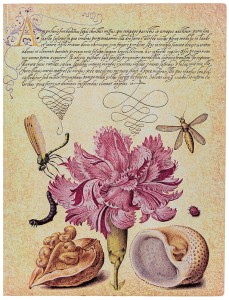 Notes Flexi Mira Botanica Pink Carnation Ultra gładki 176 str, Paperblanks