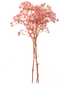 Gipsówka, 4 gałązki, ok. 20cm, light pink, Dp Craft
