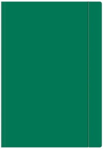 Teczka z gumką zielona A4+ 10 sztuk OZB, Interdruk