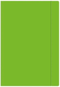 Teczka z gumką zielona Fluo A4+ 10 sztuk OZB, Interdruk