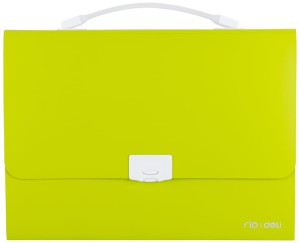Teczka z rączką białą 13-przegródek Rio zielona, Deli
