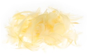 Piórka żółte op. 7 g. P7-20, Brewis