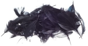 Piórka Czarne op. 7 g. P7-14, Brewis